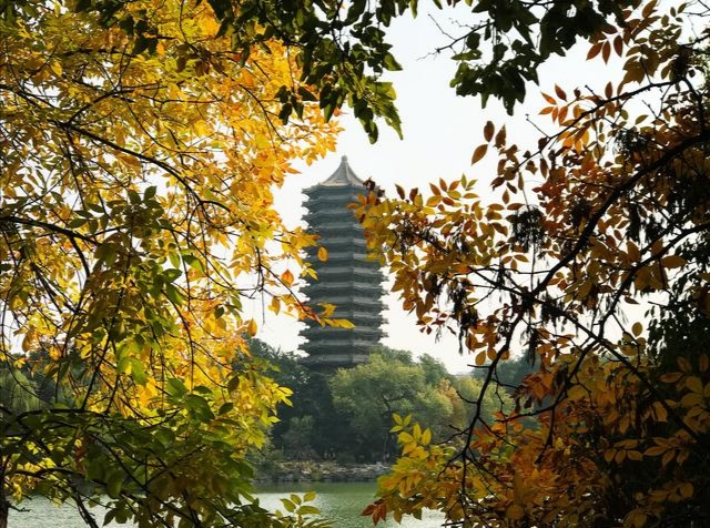 未名湖畔-湖光塔影.jpg